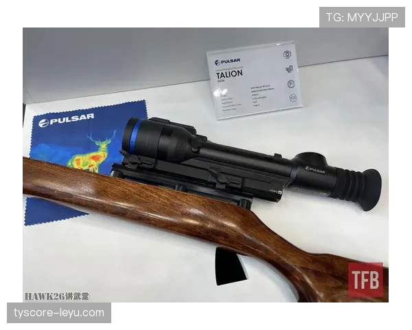 纽伦堡近期战术体系解析：防守组织与反击效率持续提升