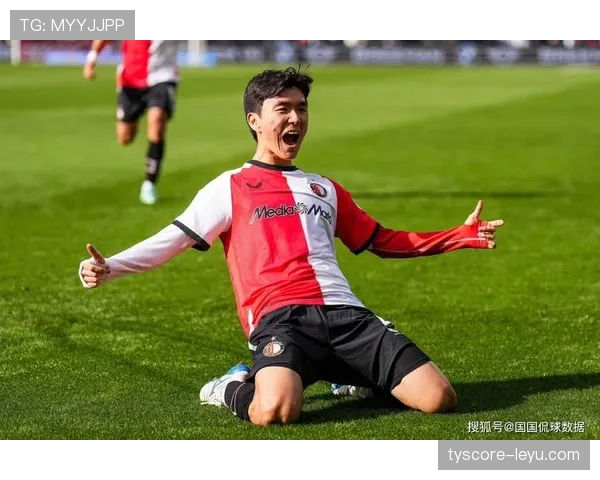 荷甲费耶诺德 荷甲费耶诺德